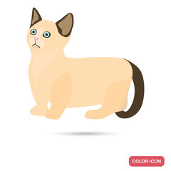Munchkin cat breed color flat icon for web and mobile design