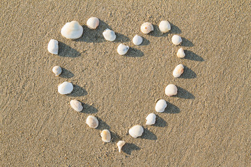Fototapeta na wymiar Heart shaped sea shells on the sand beach, love concept
