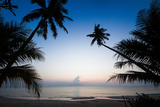 Silhouette of coconut tree slope down to the beach on sunrise background, Chumporn province,  south of Thailand
