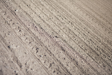 Clay field (shallow DOF)