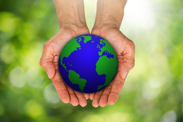 Man's hands holding growing green sprouts from globe on blurred green bokeh background, environment concept