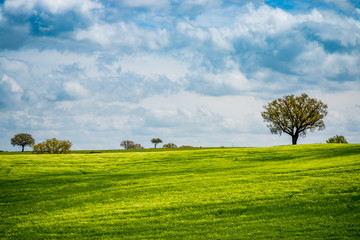 Paysage du Val d'Orcia en Toscane