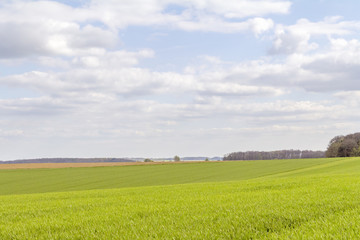 rural landscape at spring time