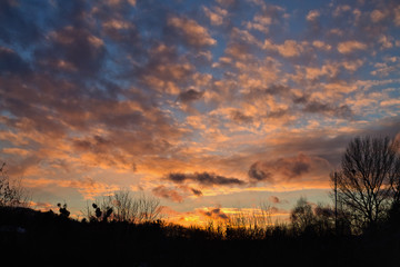 evening landscape with the setting sun and the silhouette of trees
