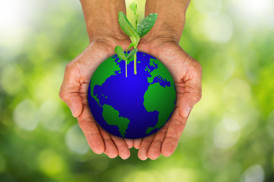 Man's hands holding earth globe with green sprouts growing on blurred bokeh background, environment concept