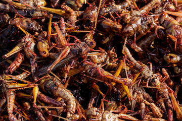 Entomophagy from insect
