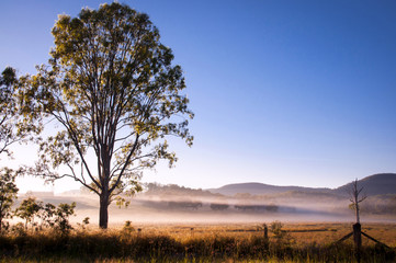 Kilkoy foggy morning © Melanie