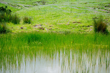 Obraz premium Paysage du Val d'Orcia en Toscane