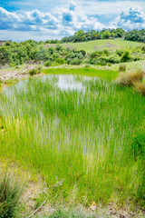 Obraz premium Paysage du Val d'Orcia en Toscane