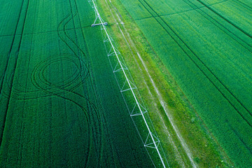 Irrigation system in wheat field
