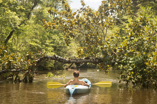 Teenage Boy In Kayak, Econfina Creek, Youngstown, Florida, USA