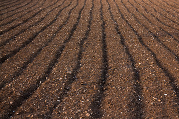 Ploughed soil in a field in Malta