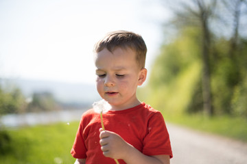 Happy little boy blowing dandelion seeds away with his eyes closed.Sunny summer