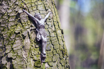 Old crucifix on tree in forest
