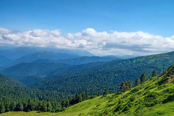 Fototapeta na wymiar Scenic view of mountain meadow