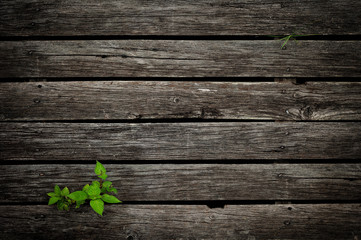Old wooden background. Wooden table or floor. Wooden texture. 