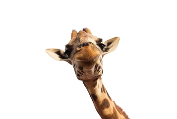 Poster close up van giraffe hoofd op wit © Syda Productions