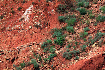 Eroded slope of the red clay hill