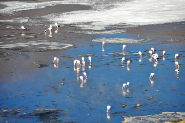 Bolivia - Salar d'Uyuni