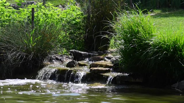 A small watering dam in garden