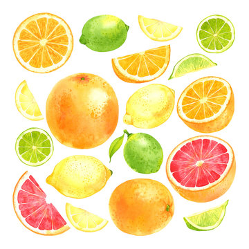 Watercolor fruit set with lemon, lime, orange and grapefruit