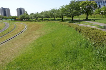 Obraz premium 多摩の新緑