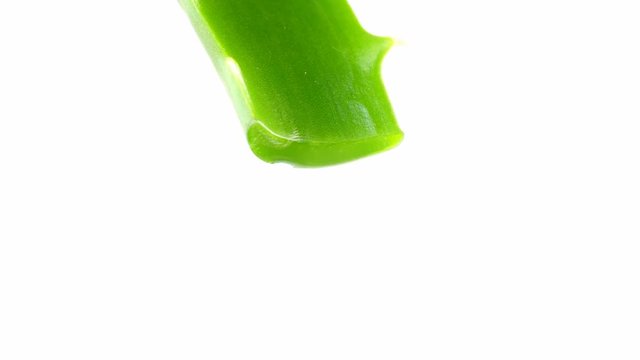 aloe leaf with dripping clear juice isolated