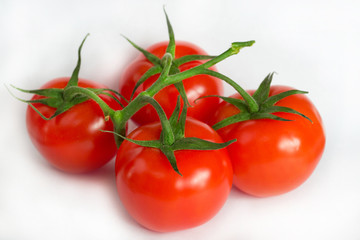 isolated red tomatoes on white background