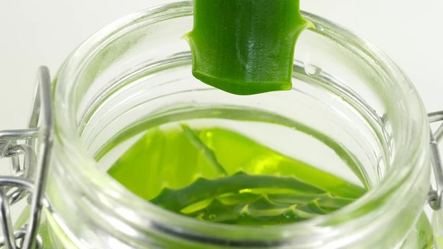 aloe leaf with dripping clear juice isolated