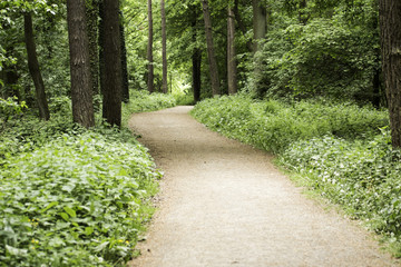 Weg Stadtwald Eschweiler