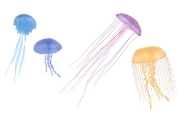 Naklejka premium realistic 3d render of jellyfishes