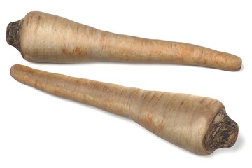 realistic 3d render of parsley root