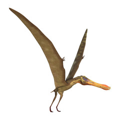 3D Rendering Pterodactyl Anhanguera on White © photosvac