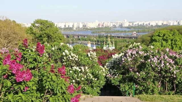 Springtime in Kyiv Botanical Garden, Ukraine. Picturesque sunny view to the Vydubychi monastery and left bank of Dnipro river