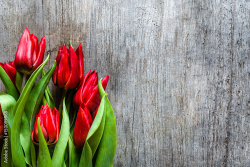 Bunch of tulips, spring flowers for mothers day, background