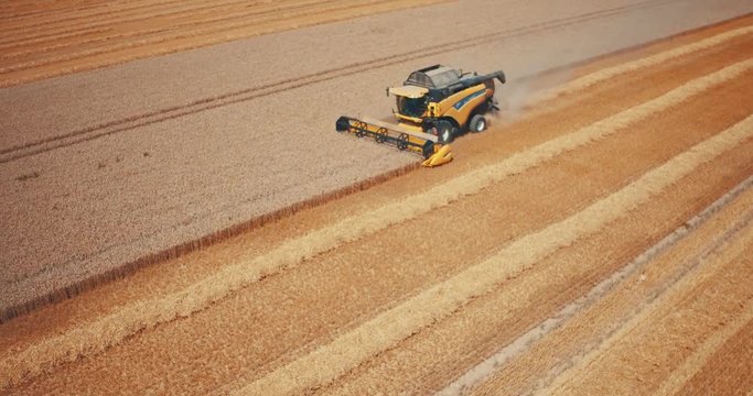 fauchage bl&eacute; avec une moissonneuse batteuse