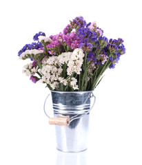 Flowers close up isolated for white background