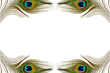 Deurstickers pauwenveertextuur op witte achtergrond met ruimte voor tekstkopie © gv image