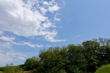 Obraz premium 青空