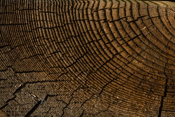 Wood texture. Abstract background.