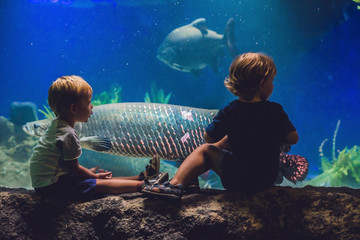 Two boys look at the fish in the aquarium