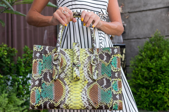 Fashionable Woman Holding Luxury Snakeskin Python Bag. Elegant Outfit. Close Up Of Purse In Hands Of Stylish Lady. Model Posing Near The Swimming Pool. Bali Island.