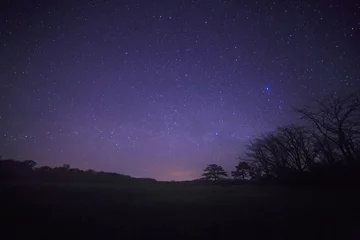 Foto op Plexiglas landschap met nachtelijke hemel boven bos © romantiche