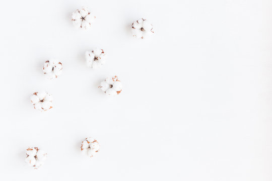 Flowers composition. Cotton flowers on white background. Flat lay, top view