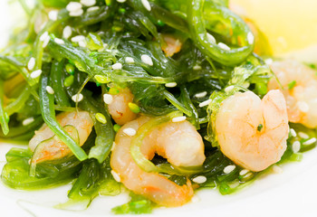 Salad of seaweed (chuka) with prawns under soy sauce and sesame oil is decorated with sesame seeds and lemon, close up © MEELENA