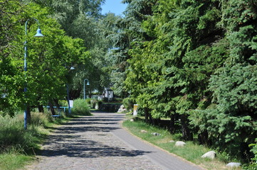 Obraz premium Dorfstraße in Middelhagen auf Rügen