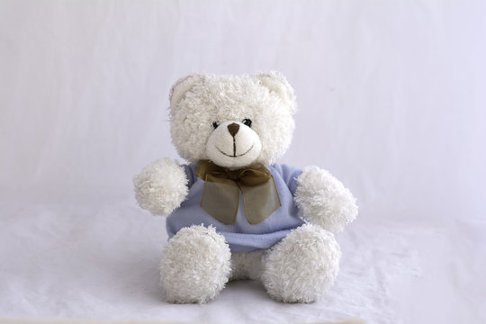 soft toy teddy bear on white background.