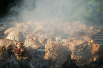 grilled caucasus barbecue in smoke