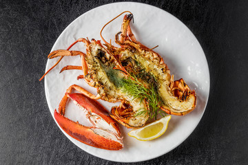 ロブスター　Lobster