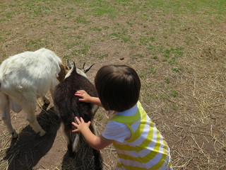 Girl on Farm